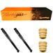 Amortecedores-Cofap-traseiros-para-Citroen-C3-de-2003-a-2012-acompanhados-de-kit-de-instalacao-
