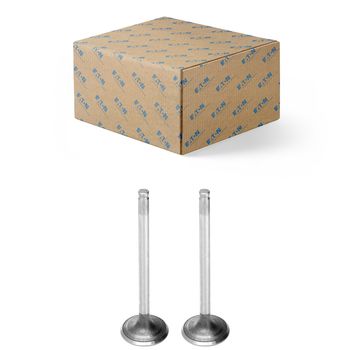 jogo-2-valvula-escape-volkswagen-8-150-9-150-todas-as-versoes-diesel-eaton-vs5103-hipervarejo-1