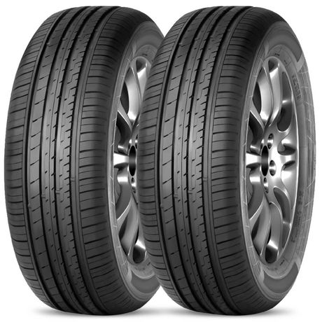 Kit 2 Pneu Aro 16 205/55R16 Durable 91V TL Confort F01