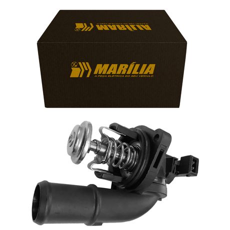 Conteúdo de marcação