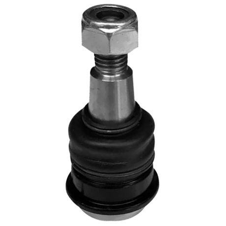 Conteúdo de marcação