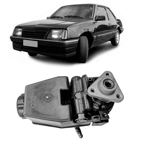 bomba-direcao-hidraulica-chevrolet-ipanema-kadett-monza-ampri-92117-hipervarejo-1
