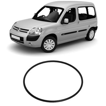 anel-flange-bomba-combustivel-aicross-berlingo-2008-ds-1465-hipervarejo-2