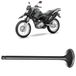 valvula-admissao-moto-yamaha-ys-150-fazer-xtz-150-crosser-vini-controlflex-hipervarejo-1.jpg
