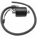 bobina-ignicao-12v-cbx-250-twister-2001-a-2008-magnetron-90200271-hipervarejo-3