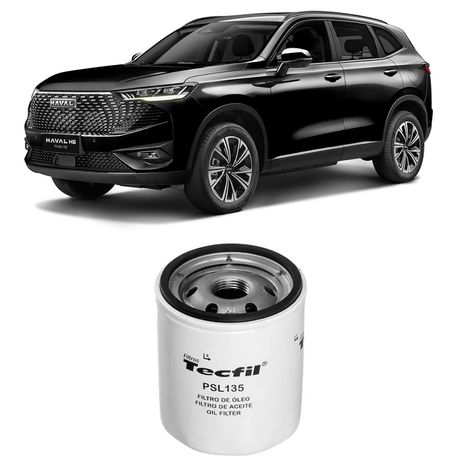 filtro-oleo-gwm-haval-h6-1.5-2023-a-2025-tecfil-psl135-hipervarejo-1