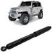Amortecedor-Dianteiro-TROLLER-T4-2014-a-2019-Motorista-Passageiro-Veic