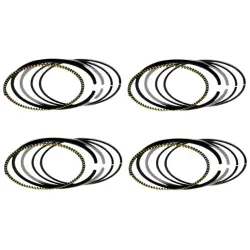 Anel-Seg-Nissan-Tiida-1.8-16v-Flex-2009-a-2014-Mahle-Principal