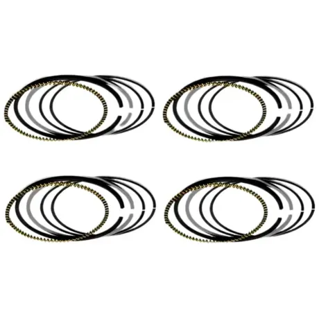 Anel-Seg-Nissan-Tiida-1.8-16v-Flex-2009-a-2014-Mahle-Principal