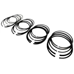 Anel-Seg-Nissan-Tiida-1.8-Flex-2009-a-2014-Mahle-Principal