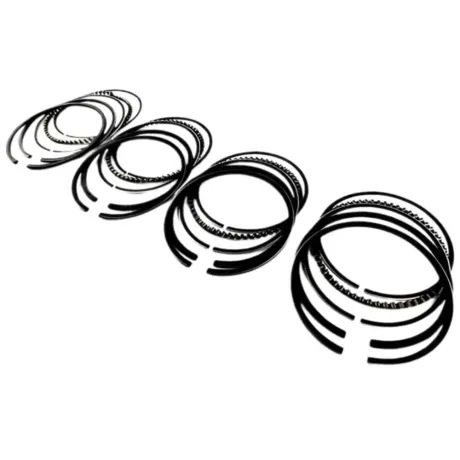Anel-Seg-Nissan-Tiida-1.8-Flex-2009-a-2014-Mahle-Principal