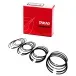 Anel-Seg-Renault-Clio-Logan-Sandero-1.0-08-16v-Takao-Marca