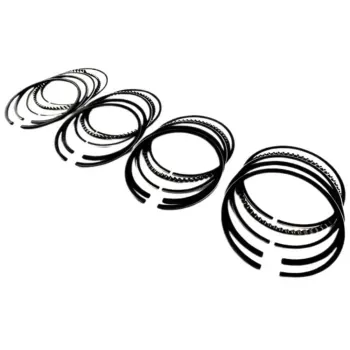 Anel-Seg-Renault-Clio-Logan-Sandero-1.0-08-16v-Takao-Principal