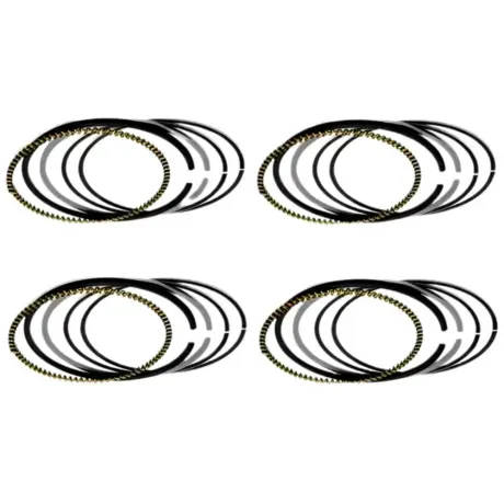 Anel-Seg-VW-Golf-1.6-2002-a-2019-Flex-Mahle-Principal