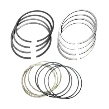 Anel-Segmento-PEUGEOT-306-208-308-2008-1.6-16V-2010-a-2020-Mahle-Princ