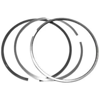 Anel-Segmento-Std-ASFI18-STD-Fiat-Brava-2000-a-2007-Principal