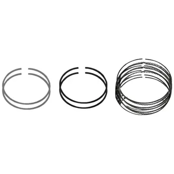 Anel-Segmento-Std-Diesel-Kia-Sportage-1999-a-2003-Takao-Principal