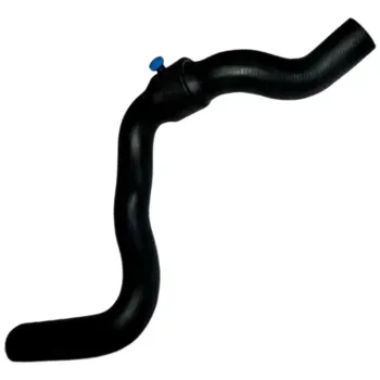 Mangueira-Rad-Fiat-Linea-1.8-12--Sup-FIAT-Principal