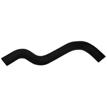 Mangueira-Rad-Ford-Fiesta-1.4-Courier-Sup--7494_JAM-Jamaica-Principal