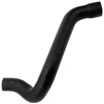 Mangueira-Rad-VW-Logus-Apollo-Sup-3154-JAM---Jamaica-Principal