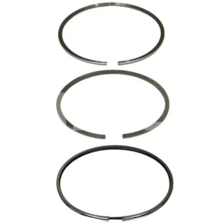 Anel-Pistao-Std-PR934500-Mahle-Principal