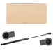 Amortecedor-Traseiro-Peugeot-206-SW-2008-Porta-Malas-Seineca-Marca
