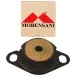 Coxim-Dianteiro-Renault-Clio-1.6-1995-a-2004-Lado-Esquerdo-Mobensani-M