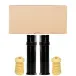 Kit-Amortecedor-Traseiro-CITROEN-C4-2006-a-2015-Marca