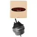 Coxim-Motor-Audi-A4-A6-96-e-VW-Passat-Lateral-Direito-e-Esquerdo-Marca